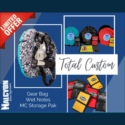 Angebot: Halcyon Total Custom Package - Ihr neues BC individuell gestaltet zum absoluten Preisvorteil